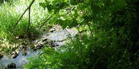 Naturaleza menorca