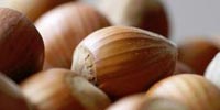 gastronomia reus