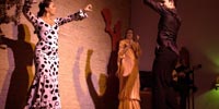 bienal de flamenco de sevilla